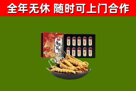 政和县回收冬虫夏草价格