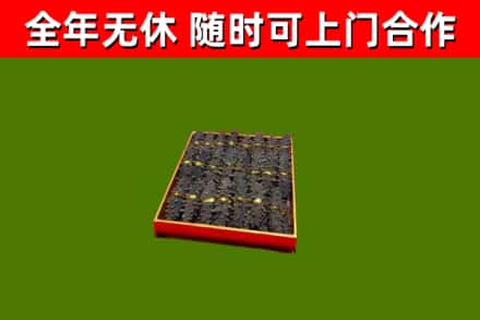 政和县回收海参